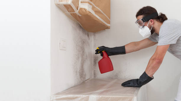 Professional Mold Inspection And Testing technician working in Wallington, NJ